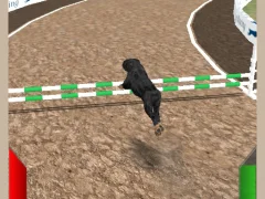 لعبة Dog Racing Simulator على الانترنت