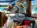 لعبة Caribbean Crime على الانترنت