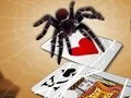 لعبة Jumping Spider على الانترنت