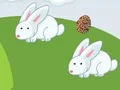 لعبة Crazy Eggs على الانترنت