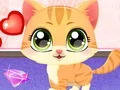 لعبة Kitty Fun Care على الانترنت