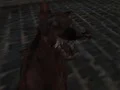 لعبة Nazi Zombie Army على الانترنت