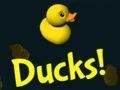 لعبة Ducks! على الانترنت