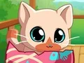 لعبة My Pocket Pets Kitty Cat على الانترنت