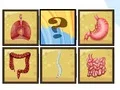 لعبة Human Organ Scanner على الانترنت