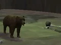 لعبة Bear Den على الانترنت