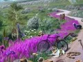 لعبة Vanishing Trail على الانترنت