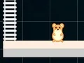 لعبة Hamster Grid Even Odd على الانترنت