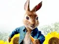 لعبة Peter Rabbit Maze Mischief على الانترنت