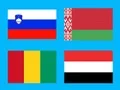 لعبة Geo Challenge Country Flag على الانترنت