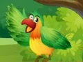 لعبة Find Birds Names على الانترنت