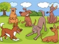 لعبة Animals Differences على الانترنت