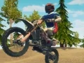لعبة Dirt Bike Enduro Racing على الانترنت