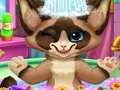 لعبة Kitten Bath على الانترنت