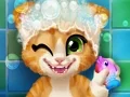 لعبة Rusty Kitten Bath على الانترنت