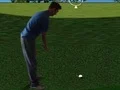 لعبة Flash Golf 3D على الانترنت