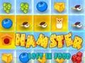 لعبة Hamster Lost In Food على الانترنت