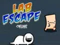 لعبة Lab Escape Online على الانترنت