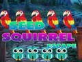 لعبة Seed Squirrel Escape على الانترنت