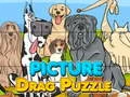 لعبة Picture Drag Puzzle على الانترنت