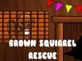 لعبة Brown Squirrel Rescue على الانترنت