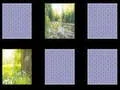 لعبة Nature Memory على الانترنت
