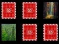 لعبة Forest memory على الانترنت