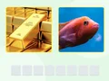 لعبة Picword على الانترنت