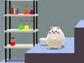 لعبة Schr?dinger’s Dual Cat على الانترنت