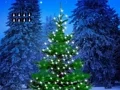 لعبة Escape From Christmas Tree Land على الانترنت