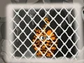 لعبة Tiger Escape 1 على الانترنت