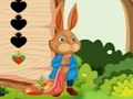 لعبة Squirrel Escape على الانترنت
