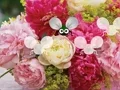 لعبة Pretty Blossom Wallpaper Escape على الانترنت
