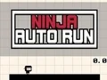 لعبة Ninja Auto Run على الانترنت