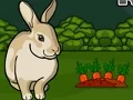 لعبة Rescue The Grey Rabbit على الانترنت