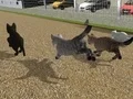 لعبة Run Cat Cat Race على الانترنت