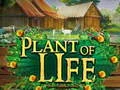 لعبة Plant of Life على الانترنت