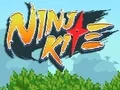لعبة Ninja Kite على الانترنت