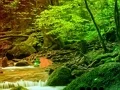 لعبة Peaceful Rainbow Forest Escape على الانترنت