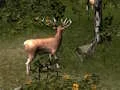 لعبة Sniper Hunting Deadly Animal على الانترنت