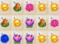 لعبة Flower Merge على الانترنت