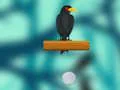 لعبة Crow Smasher على الانترنت