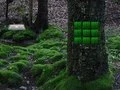 لعبة Trapped Love Dove Escape على الانترنت