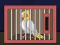 لعبة Release The Cockatiel Bird على الانترنت