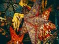 لعبة Christmas Stars Jigsaw على الانترنت