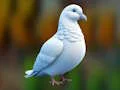 لعبة Realistic Pigeon Rescue على الانترنت