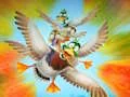 لعبة Migration Flappy Duck على الانترنت