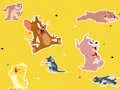 لعبة The Tom and Jerry Show Find it! على الانترنت