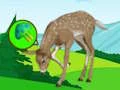 لعبة The Deer Meadow Escape على الانترنت