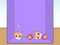 لعبة Evolution of Cat Memes على الانترنت